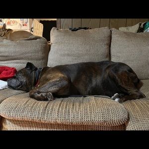 Meet your Posher, Caitlin